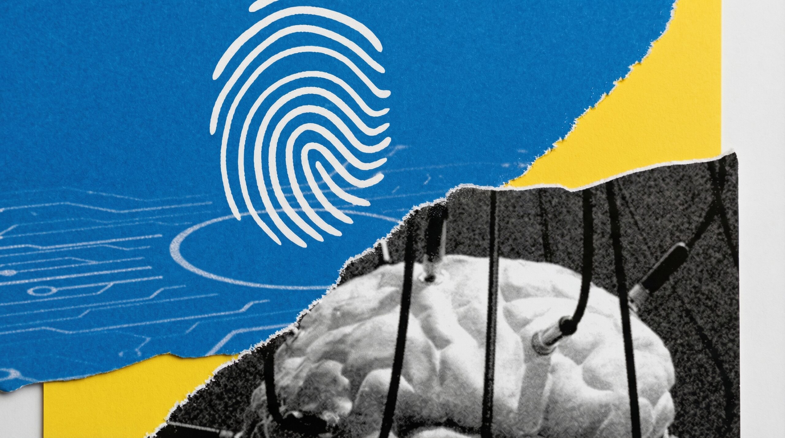 Estudio vulnerabilidades OpenClaw revela fallos